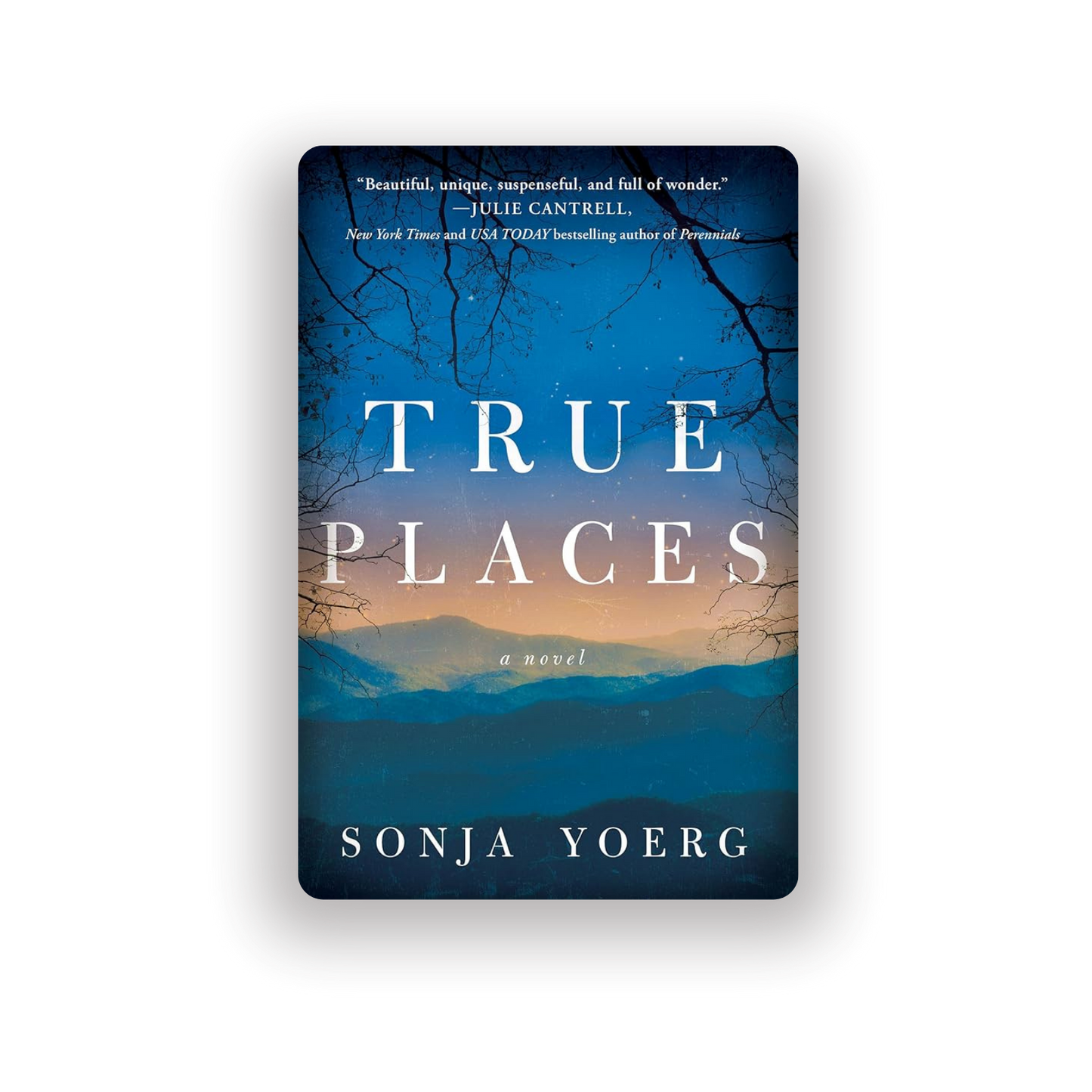 True Places | Sonja Yoerg  (Paperback)